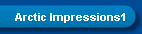 Arctic Impressions1
