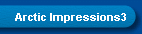 Arctic Impressions3